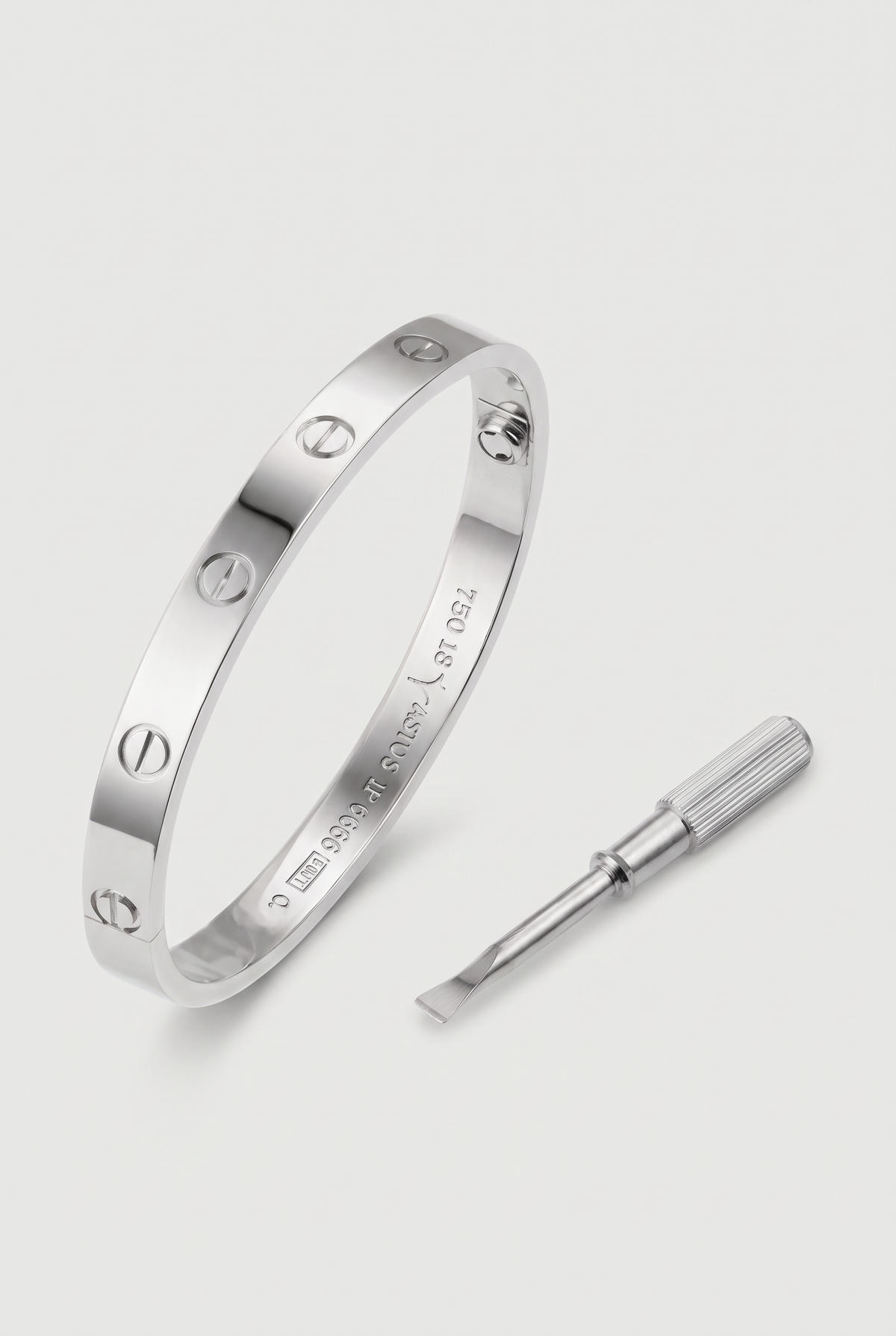 Astos screw armband zilver verguld - productfoto met schroevendraaier