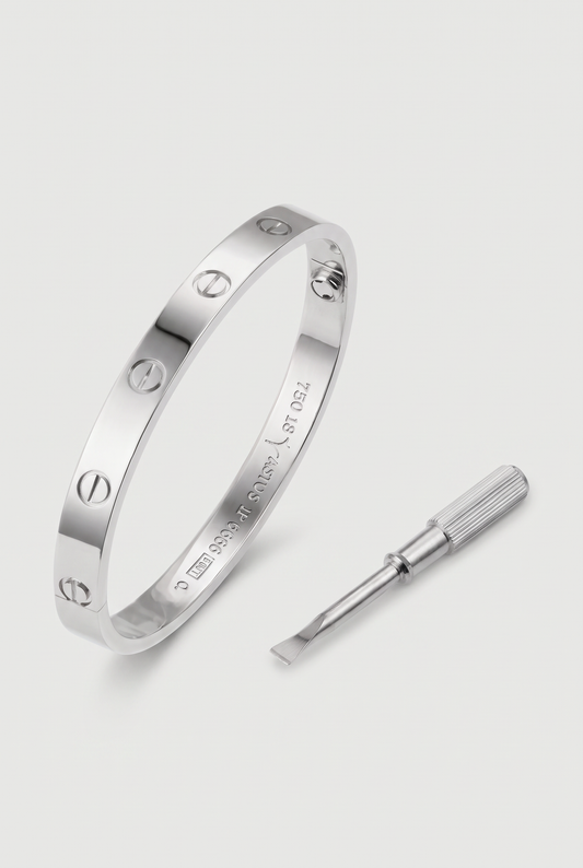 Astos screw armband zilver verguld - productfoto met schroevendraaier